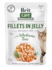 Brit kassitoit Care Cat Fillets In Jelly Wholesome Tuna 85g