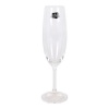 15586 Šampanja klaas CRYSTALEX Lara Kristall läbipaistev 6tk (220 cc)
