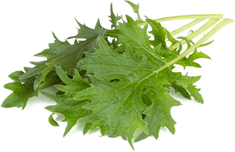 Click & Grow Smart Refill Lehtnaeris 3tk