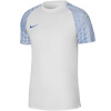 Nike T-särk meestele Dri-Fit Academy Jersey SS valge-sinine DH8031 102 suurus L
