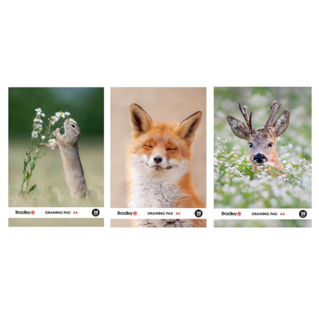 Bradley joonistusplokk A4, 20 lehte, 150 g, Hans van Dujin