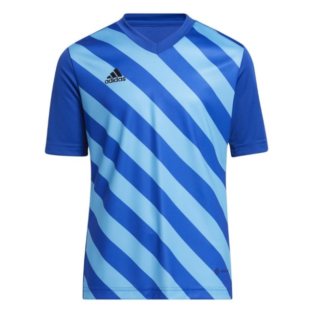 Adidas Teamwear T-särk lastele Entrada 22 Graphic Jersey sinine HF0130 suurus 116cm