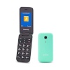 Panasonic mobiiltelefon Panasonic KX-TU400EXC roheline