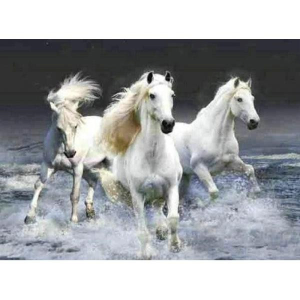 Norimpex teemantmaal Diamond Mosaic - White horses in the sea