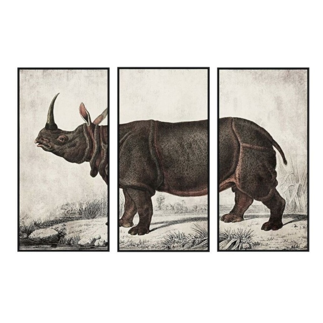 DKD Home Decor maal Koloniaalne Ninasarvik (180x4x120cm)