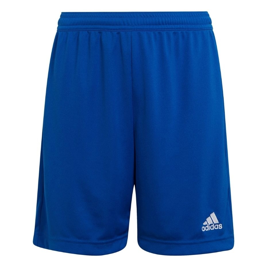 Lühikesed püksid Kids Adidas Entrada 22 sinine HG6291 164cm