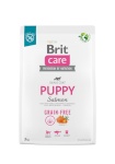 Brit kuivtoit koerale Dry Food for puppies and young Dogs of all breeds (4 weeks - 12 months),Brit Care Dog Grain-Free Puppy Salmon 3kg