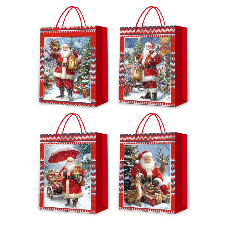 H4Y kinkekott SANTA DAY M, 26x32x10cm, mix