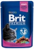 Brit kassitoit Premium Chicken&Turkey - Wet Cat Food- 100g