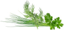 Click & Grow Plant Pod Cl. Garnish Mix 9tk