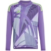 Adidas Teamwear T-särk Bramkarska lastele Tiro 24 Competition Long Sleeve Goalkeeper violetne IN0430 suurus 116cm