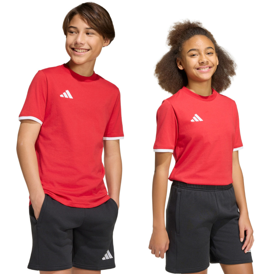 Adidas Teamwear T-särk lastele Entrada 26 Tee punane JZ6674 suurus 116cm