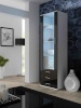 Cama Meble vitriinkapp display cabinet SOHO S1 valge/must läikega