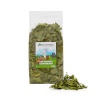 Factoryherbs toit närilistele Dandelion Leaf, 130g