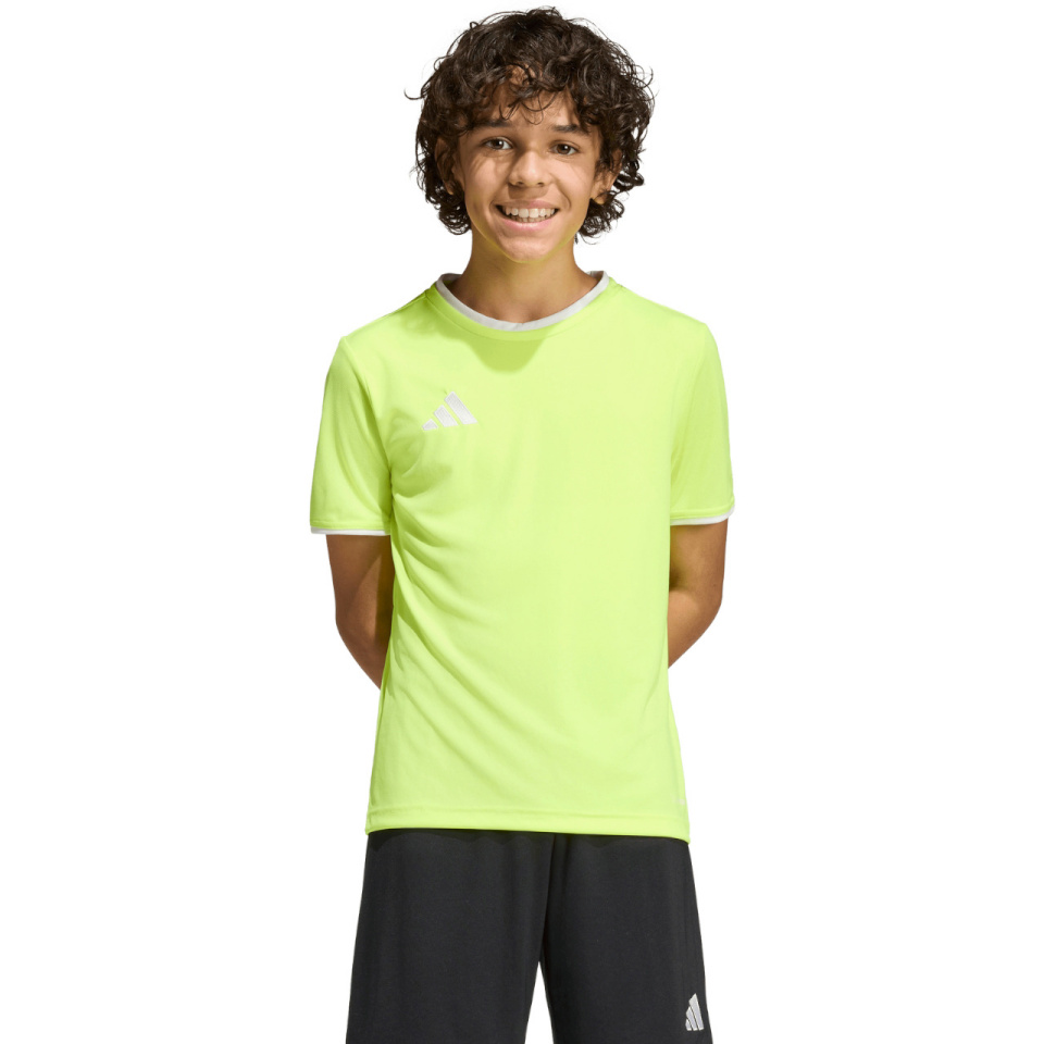 Adidas Teamwear T-särk lastele Entrada 26 Jersey kollane neoon KE9845 suurus 152cm