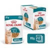 Royal Canin kassitoit Ageing 15+ Chunks in Gravy, 12x85g