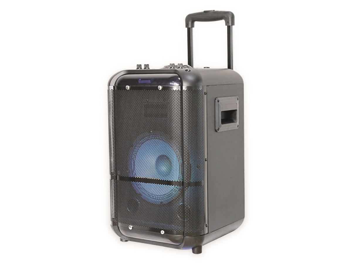 Denver kõlar TSP-306