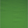 Walimex taust Cloth Background roheline 2,85x6m