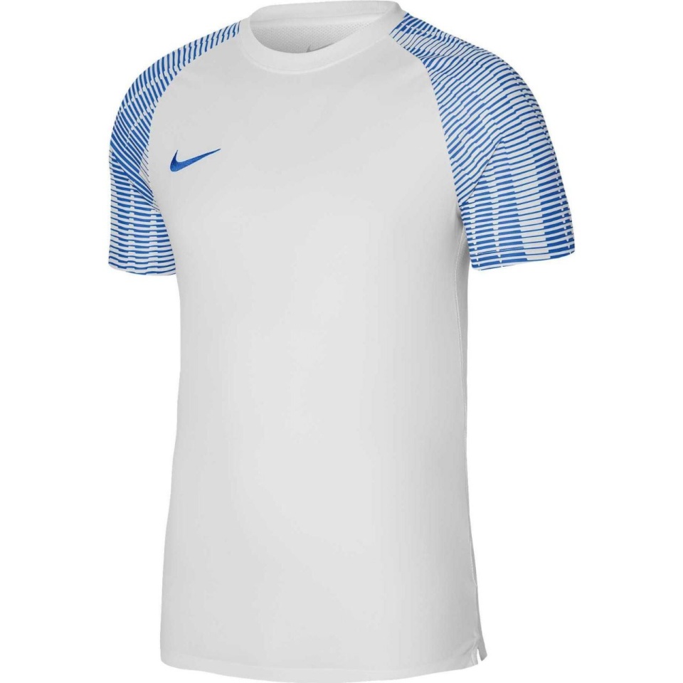 Nike Team T-särk lastele Df Academy Jersey SS valge DH8369 102 suurus S