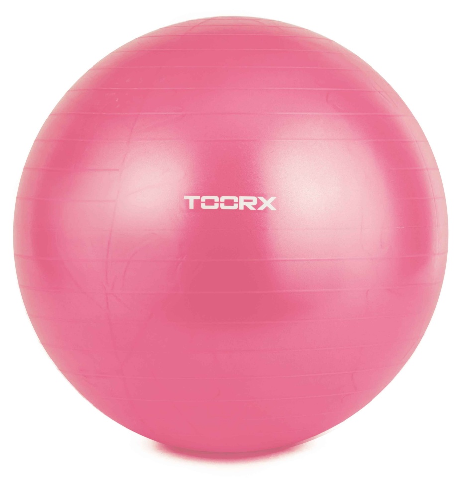 TOORX võimlemispall AHF-0069 D55cm + pump