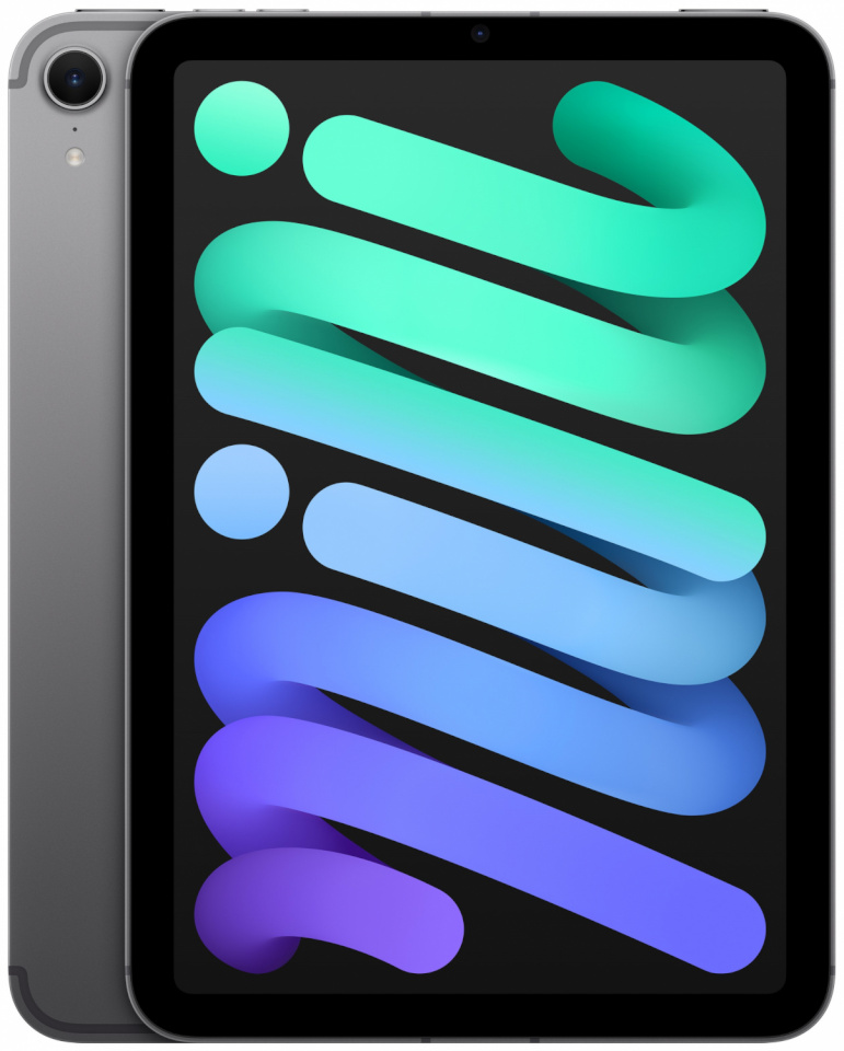 Apple iPad Mini (A17 Pro) 256GB Wi-Fi + 5G Space Gray, hall (2024)