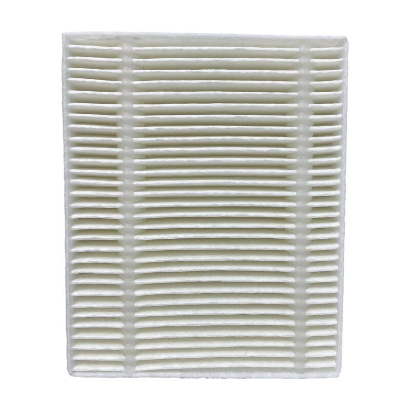 Roidmi HEPA filter EVE CC, 1tk