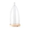 Clayre Eef fotomeene Cloche 6GL3006 Transparent 19x41 cm
