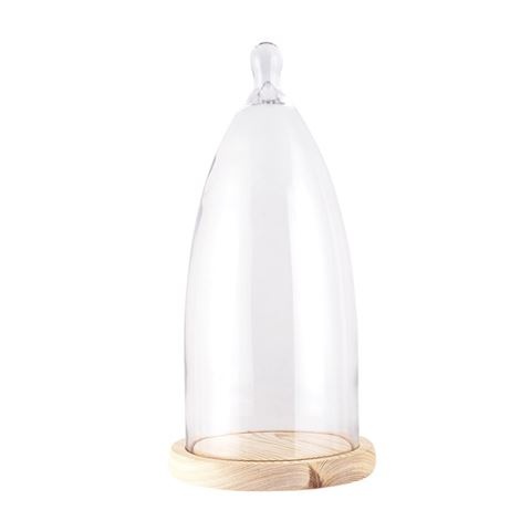 Clayre Eef fotomeene Cloche 6GL3006 Transparent 19x41 cm