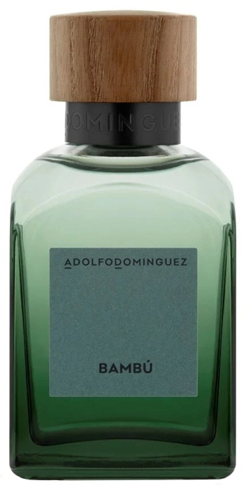 Adolfo Dominguez parfüüm Bambú 200ml, meestele