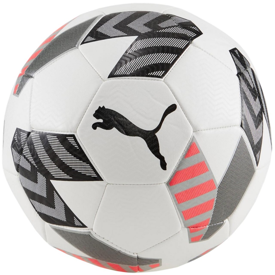 Puma jalgpall King Ball valge-hall 83997 02 4