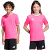 Adidas Teamwear T-särk lastele Entrada 26 Jersey roosa KE9846 suurus 128cm