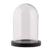 Clayre Eef fotomeene Cloche 6GL2168Z Transparent 12x17 cm