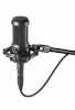 Audio-Technica AT2050 mitme mustriga kondensaatormikrofon