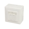 Logilink seinaadapter Logilink | Cat.6A Wall Outlet STP | NP0124