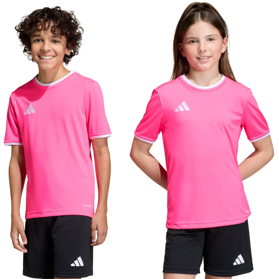 Adidas Teamwear T-särk lastele Entrada 26 Jersey roosa KE9846 suurus 140cm