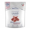Baltica kuivtoit koerale Nutraceutic Hypoallergenic M Lamb with Rice, 1kg