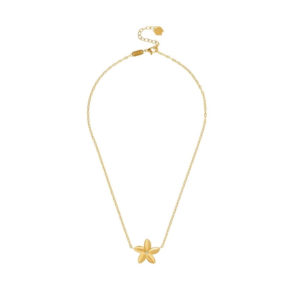 One Jewels naiste kaelakee OJPFN02G kuldne