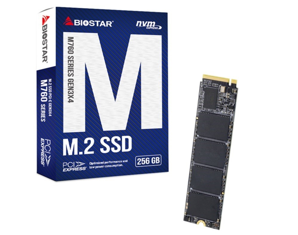 Biostar kõvaketas SSD M760 256GB