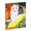 Poldom album P2-6824 15x20/24, assortii