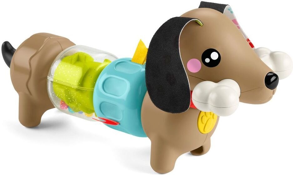 Fisher-Price Click & Spin Activity Pup - beebiaktiivsusmänguasi