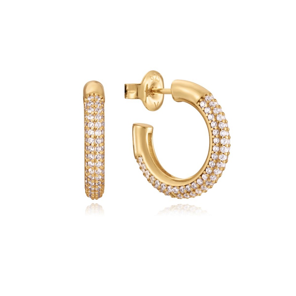 Viceroy naiste kõrvarõngad 13132E100-30