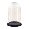 Clayre Eef fotomeene Cloche 6GL3474 Transparent 20x28 cm