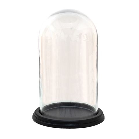 Clayre Eef fotomeene Cloche 6GL3474 Transparent 20x28 cm