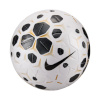 Nike jalgpall Control 25 valge-must HV4395 100 5