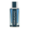 Salvatore Ferragamo parfüüm Ferragamo Intense Leather 100ml, meestele