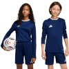 Adidas Teamwear T-särk lastele Entrada 26 Long Sleeve Jersey tumesinine KF5877 suurus 128cm