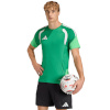 Adidas Teamwear T-särk meestele Tiro 26 Competition Training Jersey roheline KA7585 suurus L