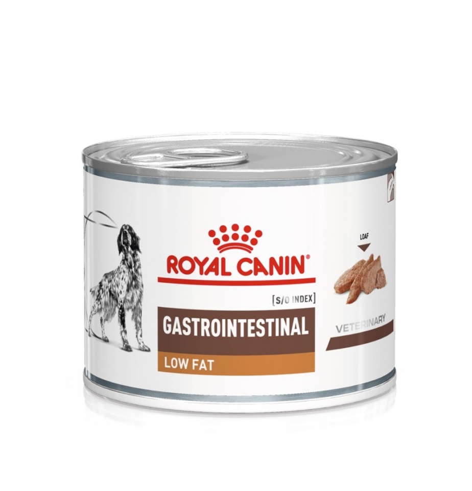 Royal Canin koeratoit Gastrointestinal Low Fat Loaf VHN, 200g