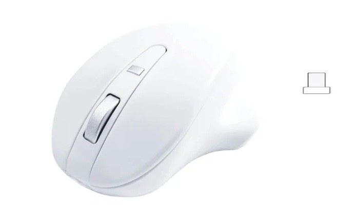 Matias hiir Wireless USB-C P ro Mouse valge