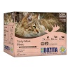 Bozita kassitoit Tasty Meat Menu Multibox Flavor Mix in Jelly, 12x85g